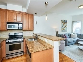 19 Knowlton St unit 4, Boston, MA 02127 - photo 1