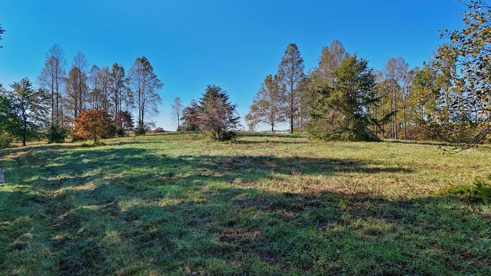 0 Allen Rosen Rd, Dillwyn, VA 23936 - photo 1