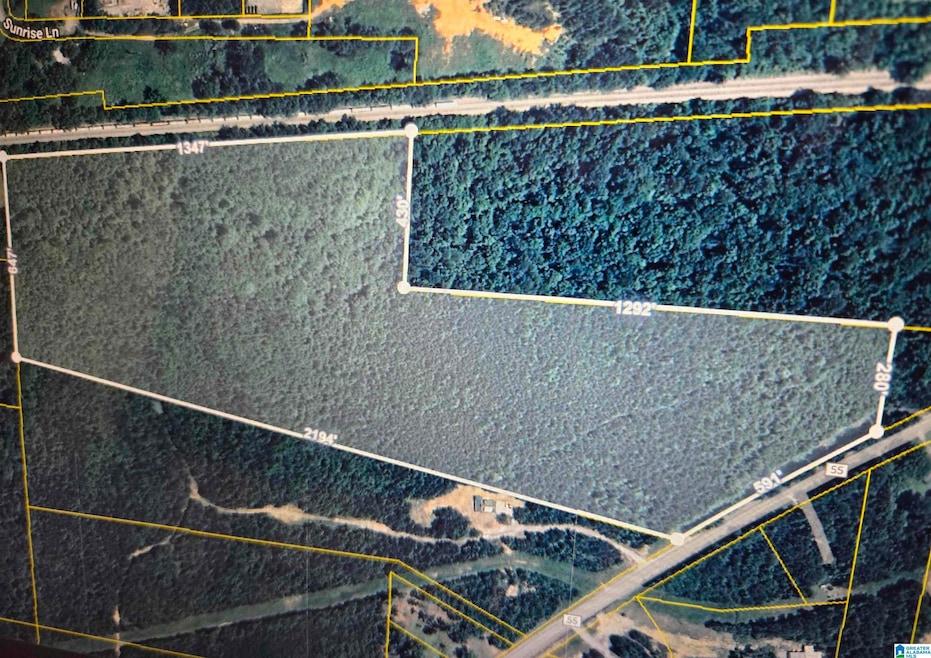 9013 County Road 55, Harpersville, AL 35078 - photo 1