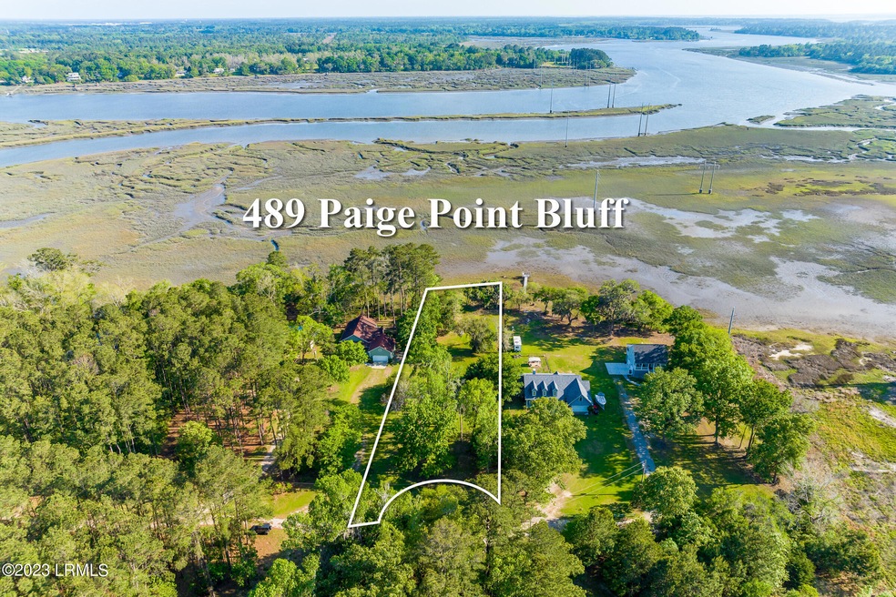 489 Paige Point Bluff-2
