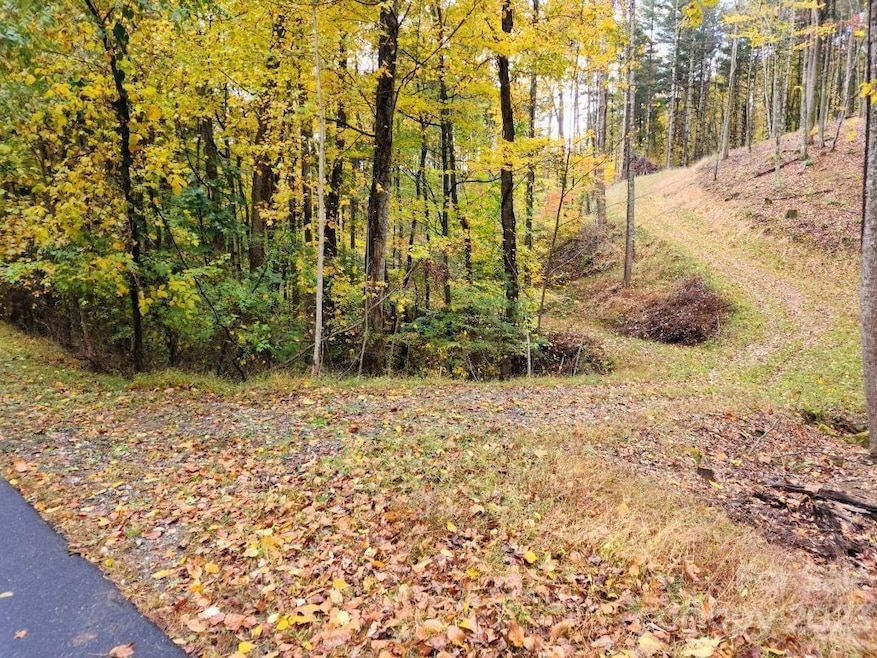 Access road at Thorncrest Drive