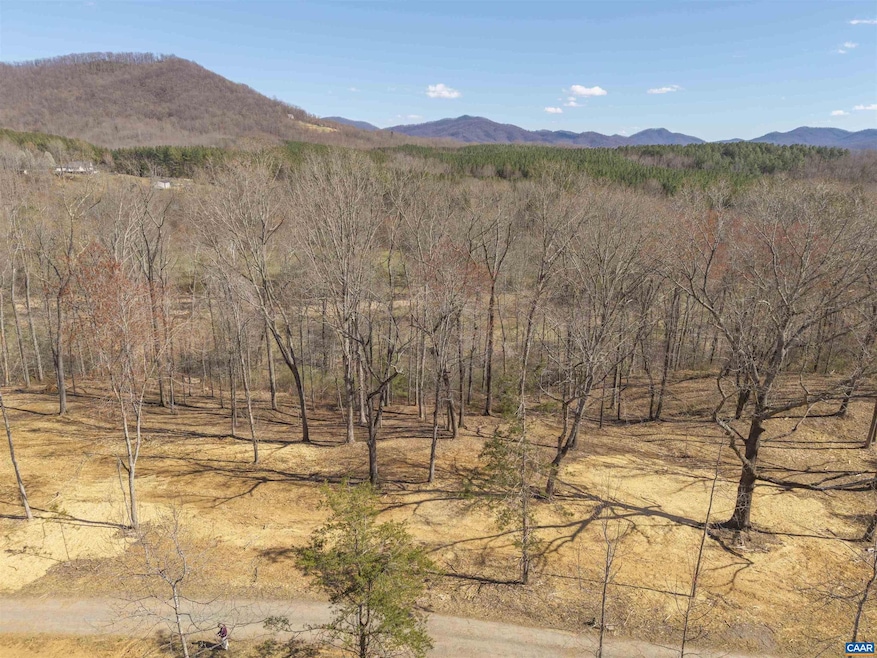 Lot 3 Rockfish Valley Hwy unit 3, Afton, VA 22920 - photo 1