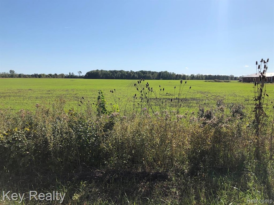 00 E Labo Rd, Carleton, MI 48117 - photo 1