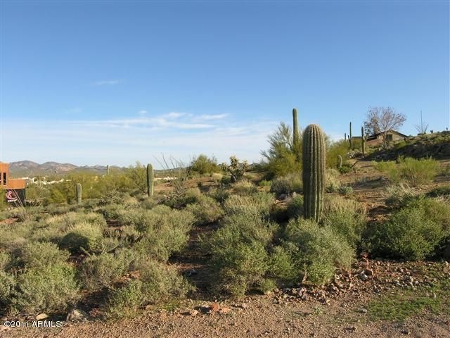 1.25 acre lot