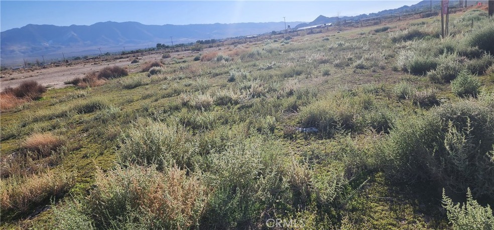 0 Rabbit Springs Rd unit RS25232464, Lucerne Valley, CA 92356 - photo 1