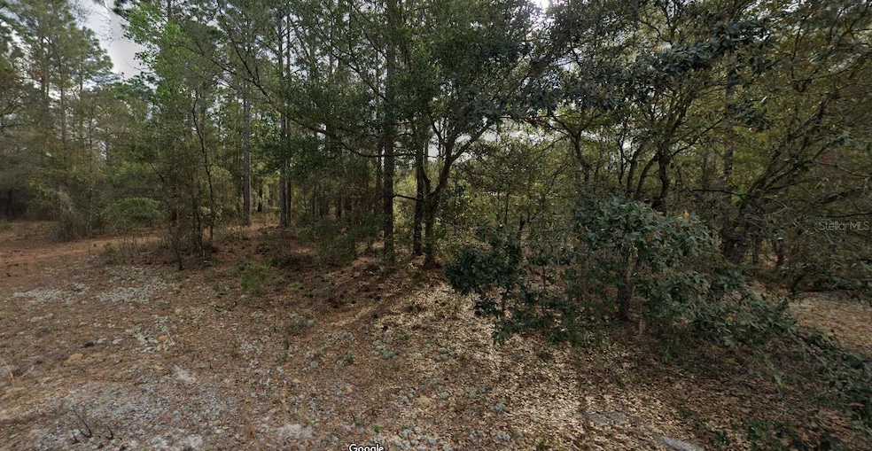 228 14th St, Interlachen, FL 32148 - photo 1