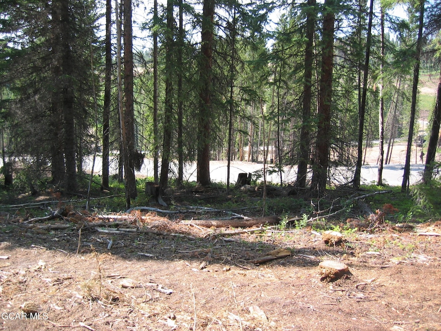 2362 Pioneer Trail, Fraser, CO 80482 - photo 1