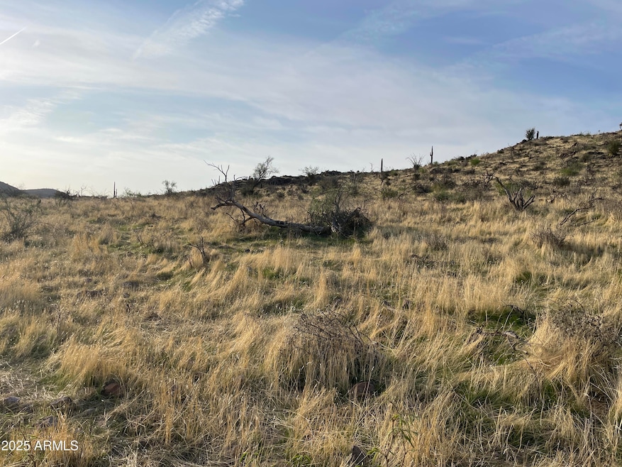 009 N Elephant Butte Rd unit J, Queen Valley, AZ 85118 - photo 1