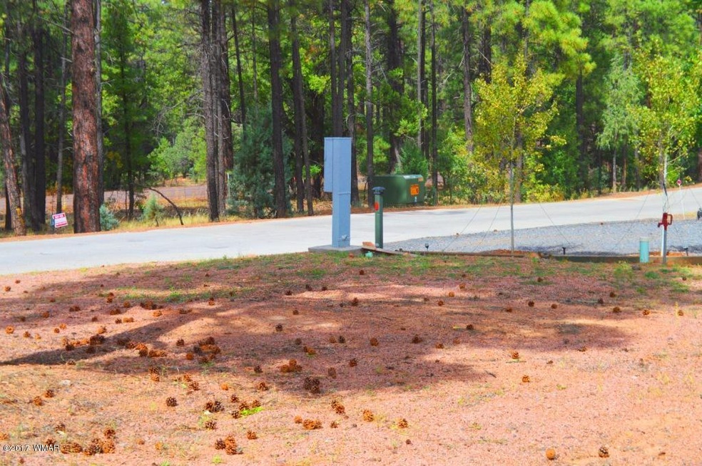 1940 E Mountain Lodge Dr, Show Low, AZ 85901 - photo 1