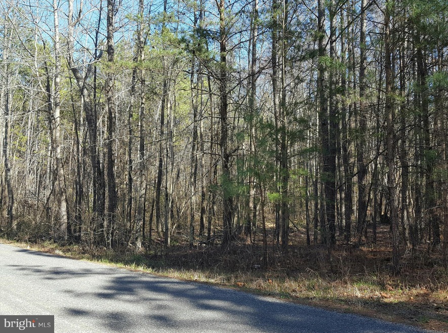 0 Mt Airy Dr unit 1000142911, Ruther Glen, VA 22546 - photo 1