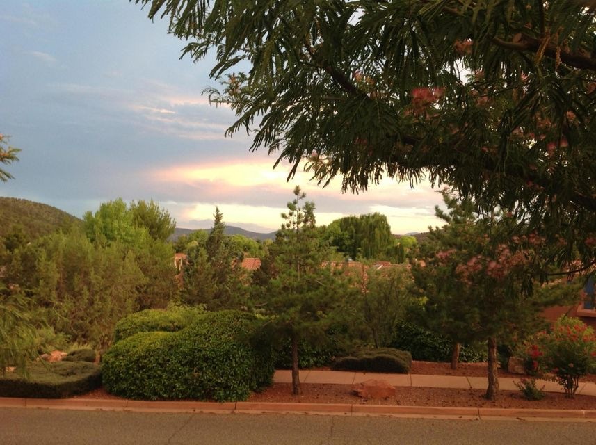 A Backyard view