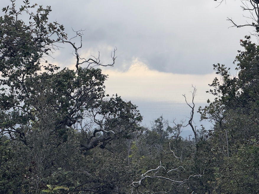 92-9035 Leilani Pkwy, Ocean View, HI 96737 - photo 1