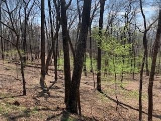 Gentle sloping lot with hardwoods.