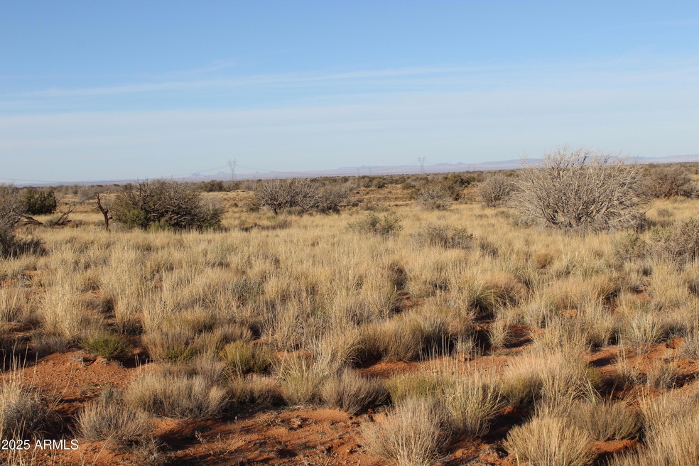 Lot 224 Ccr Unit 2 -- unit 224, Heber, AZ 85928 - photo 1