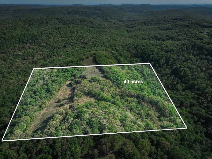 676 N Devils Den Rd, Winslow, AR 72959 - photo 1