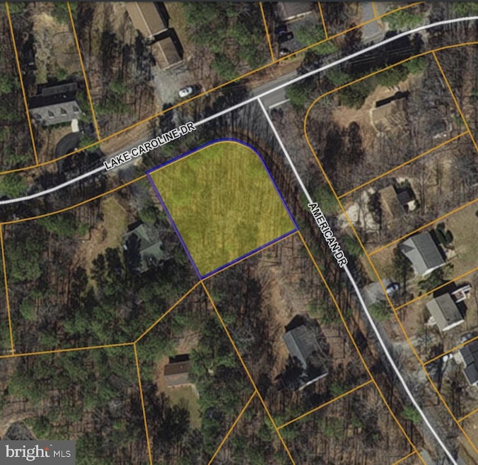 425 Lake Caroline Dr, Ruther Glen, VA 22546 - photo 1