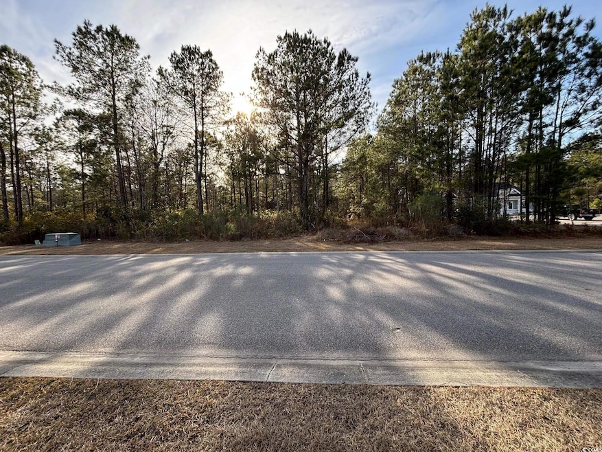 View of road