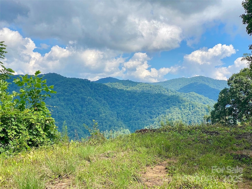 7858 Big Laurel Rd, Marshall, NC 28753 - photo 1