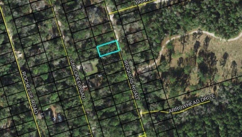 XXX Iroquois Rd, Crawfordville, FL 32327 - photo 1