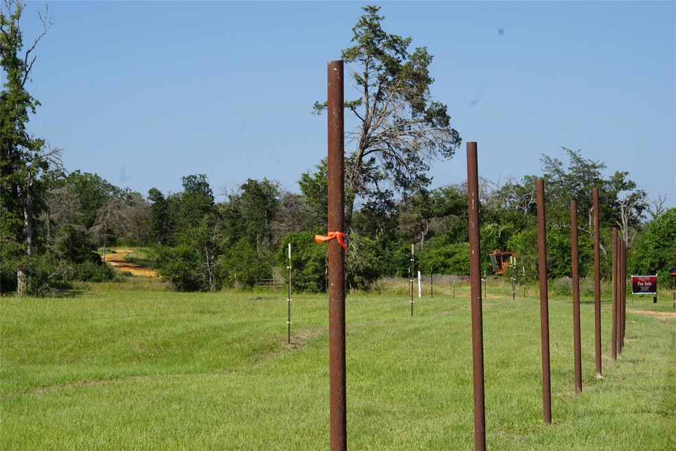 View of grassy yard