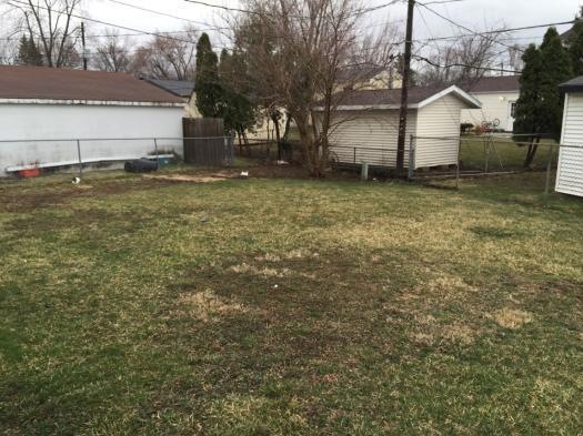 Backyard.JPG