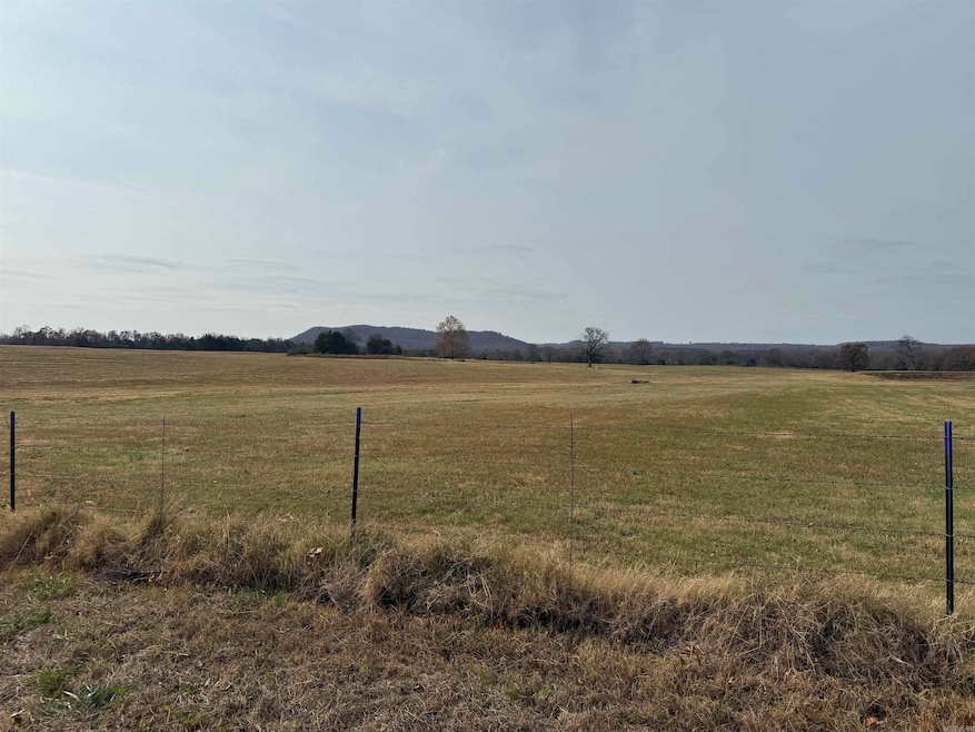 315 Buffalo Mountain Rd, Quitman, AR 72131 - photo 1