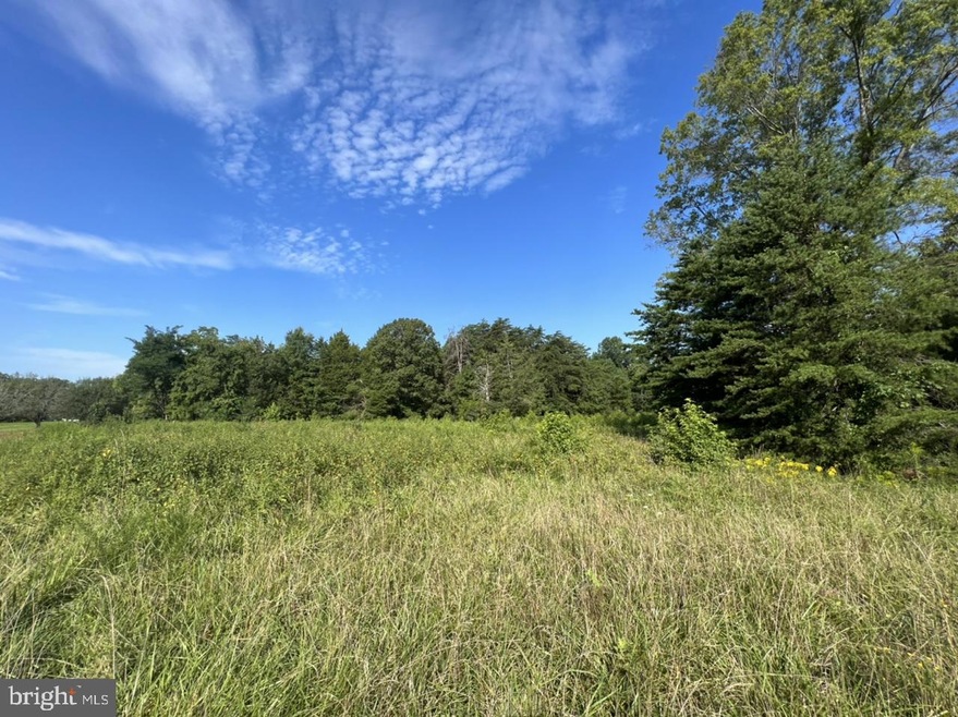 7078 Stubbs Bridge Rd, Spotsylvania, VA 22551 - photo 1