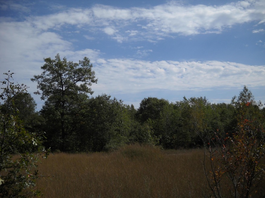 DSCN0024