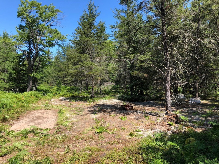 Drive into campsite