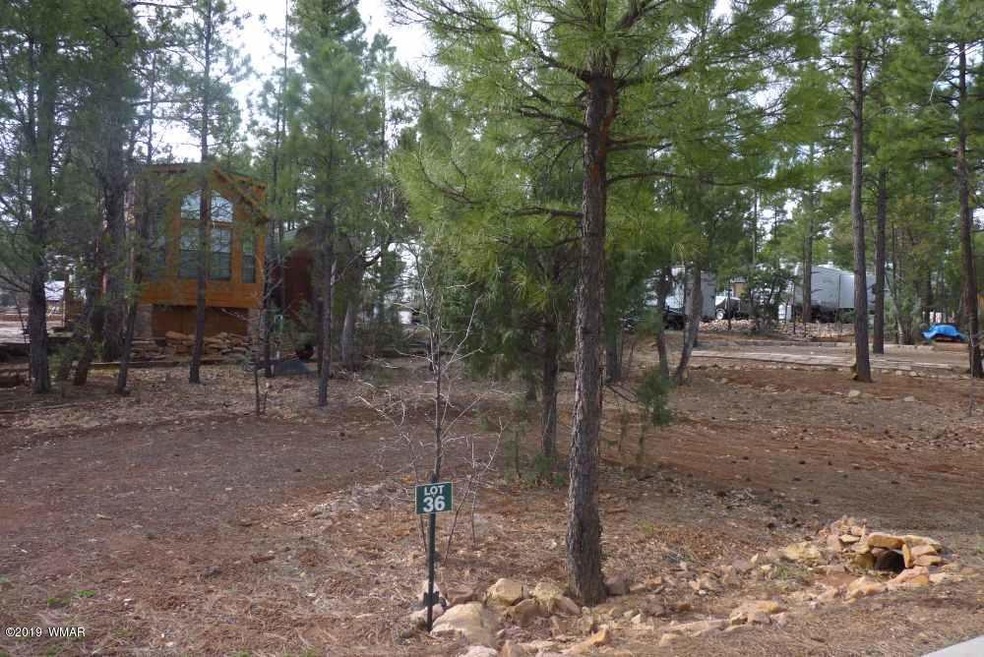Lot 36 In WMVV
