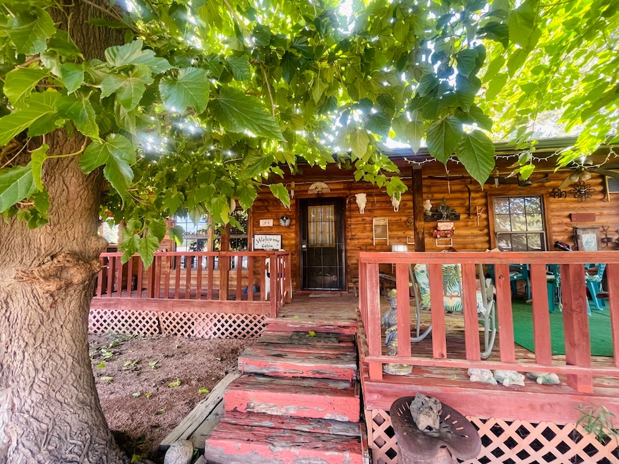 170 N Shreeve Ln, Tonto Basin, AZ 85553 - photo 1