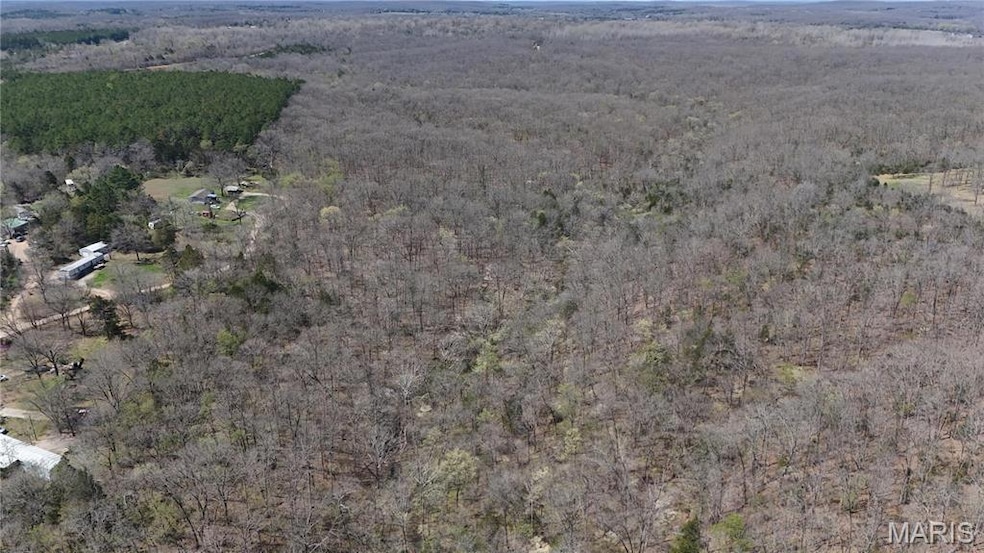 40 AC Roderick Rd, Cadet, MO 63630 - photo 1
