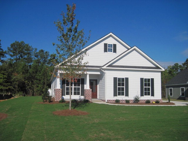 Main View