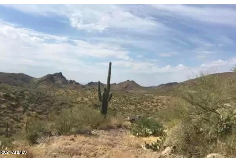 40 Acre Photo