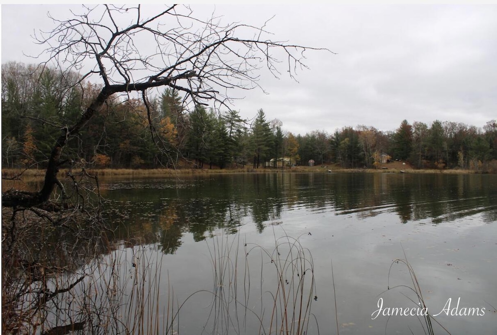 Idlewild Lake Front