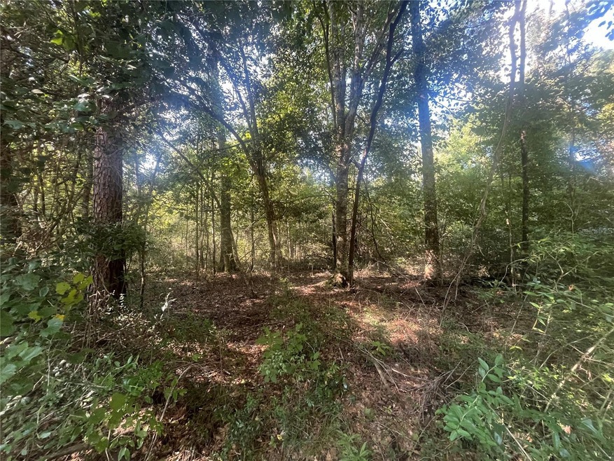 0 Hollywood Way, Crawfordville, FL 32327 - photo 1