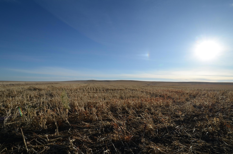 NE4 Sec 21 321st Ave, Central Lyman, SD 57544 - photo 1