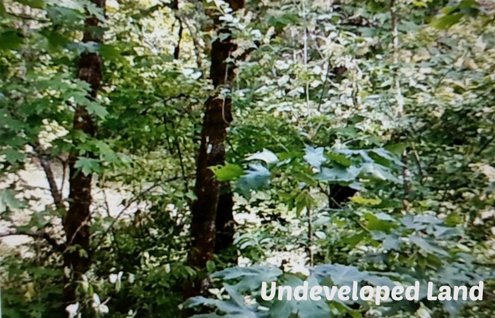 0 E Jones Creek Rd, Grants Pass, OR 97526 - photo 1