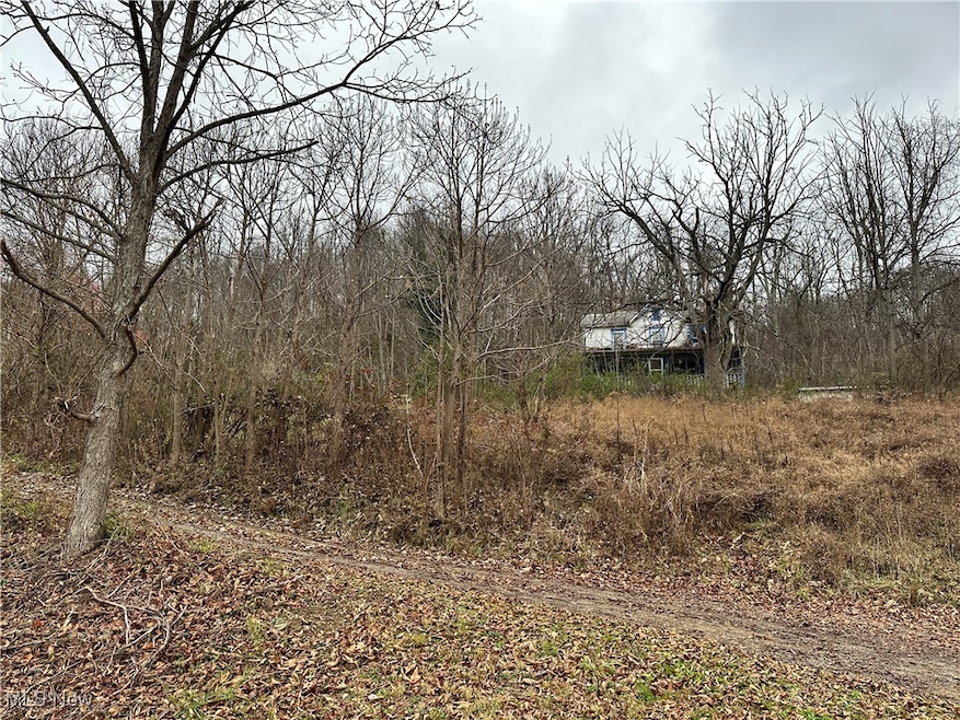 2305 Ohio 145, Lower Salem, OH 45745 - photo 1