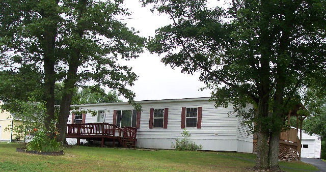 Main View