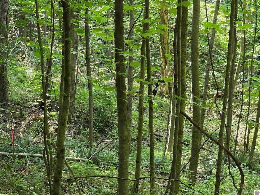 00 Pecan Dr, Cadiz, KY 42211 - photo 1