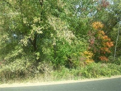 8195 Frances Ave, Flushing, MI 48433 - photo 1