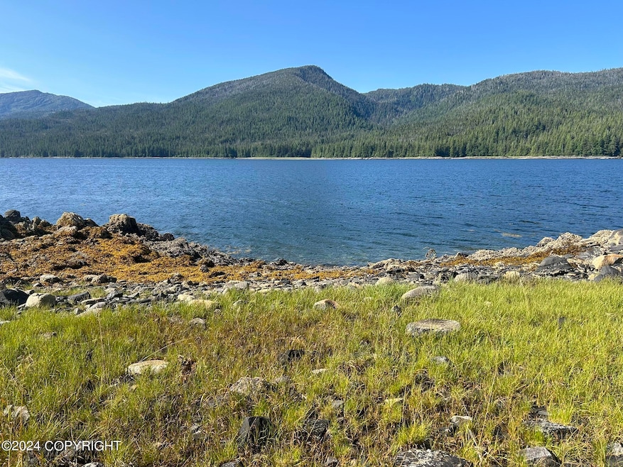 View of Zimovia Strait