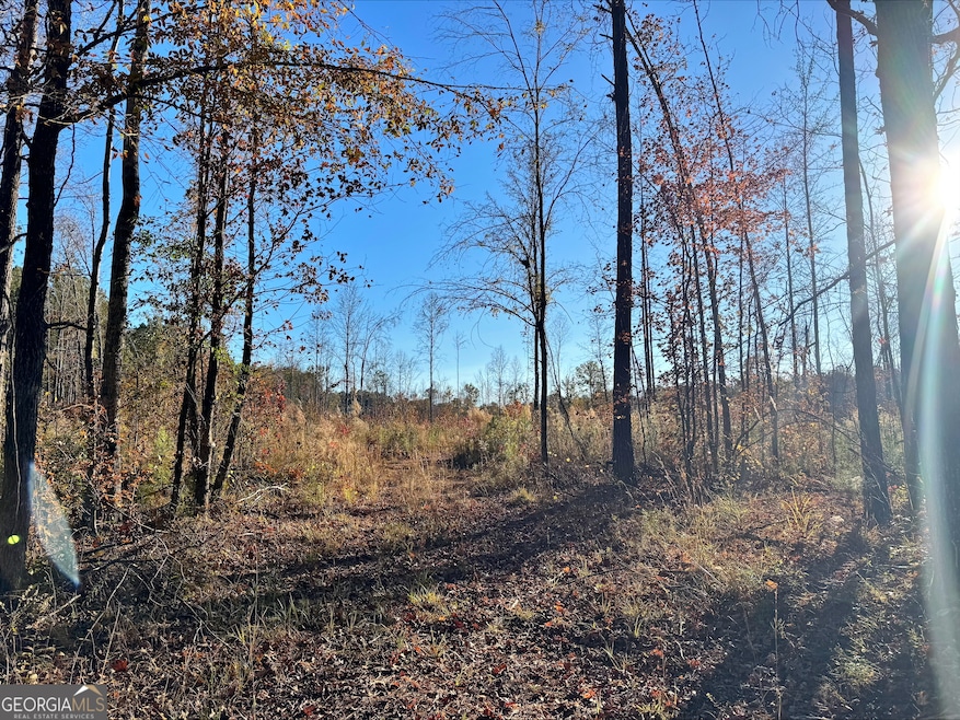 0 County Road 222 unit 10651832, Lanett, AL 36863 - photo 1