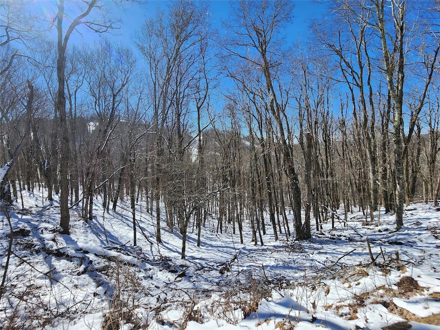 479 El Miner Dr, Mars Hill, NC 28754 - photo 1