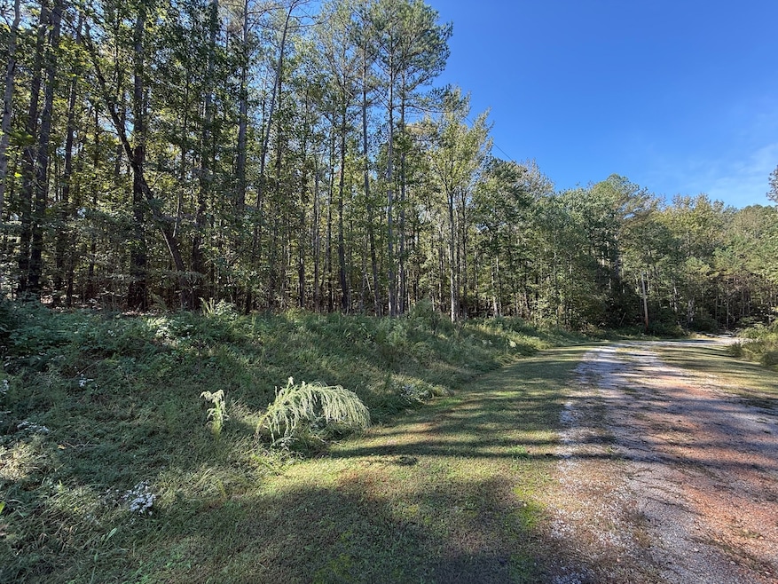 233 Zara Spook Dr, Cedar Grove, TN 38321 - photo 1