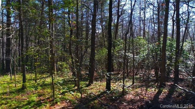 Large level lot with sunrise views from back.