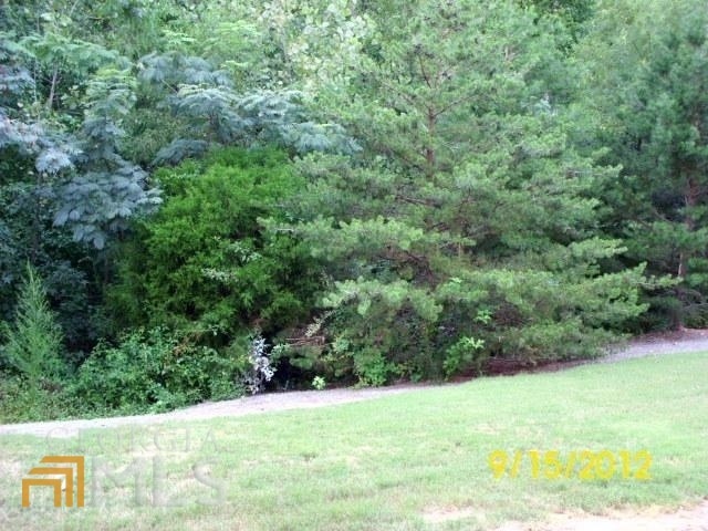 0 Helton Rd unit 20044385, Bremen, GA 30110 - photo 1