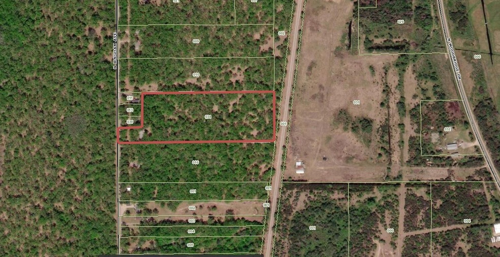 11662 N Bingham Ave, Bitely, MI 49309 - photo 1