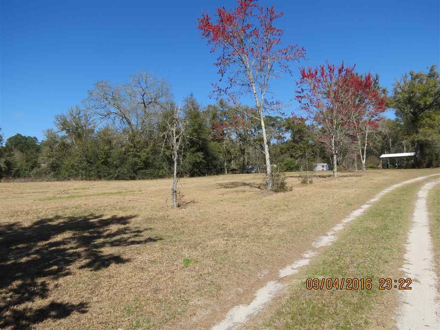 unlisted-address, Crawfordville, FL 32327 - photo 1